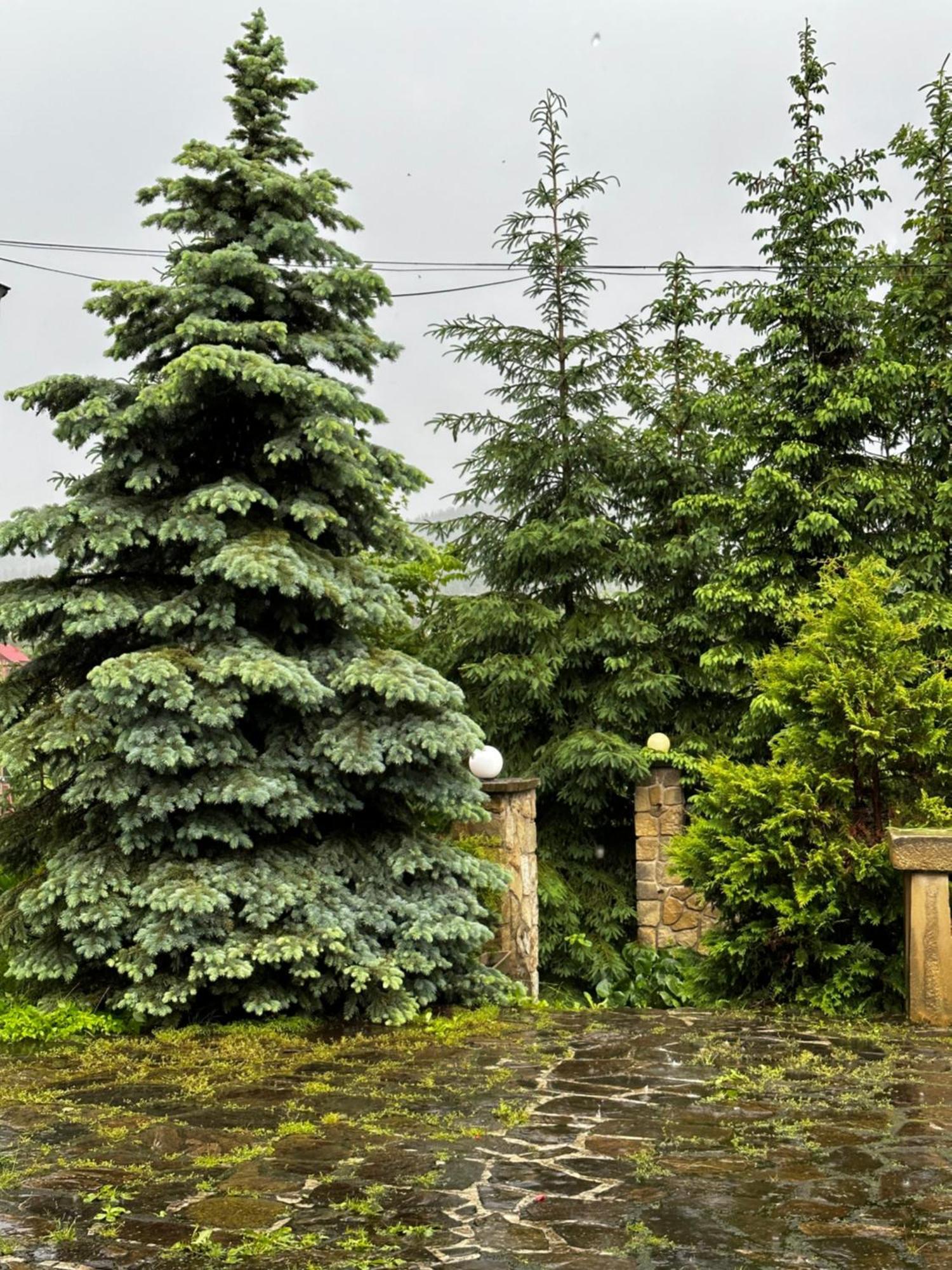 Chalet Pidstromom ميكوليتشن المظهر الخارجي الصورة